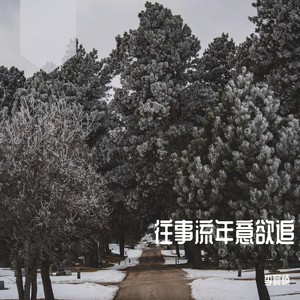 往事流年意欲追