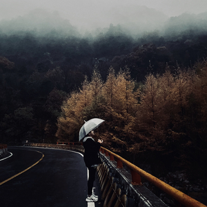 人生不过是旷野