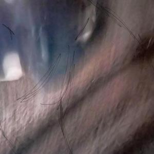 Kiss Goodbye/Destructive Tendencies