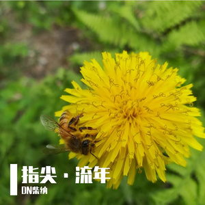 远方的灯