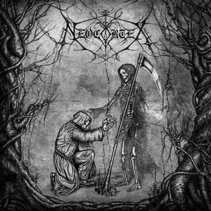 Am Ende des Feuers: Teil 2 - Die Stille der Zweifler