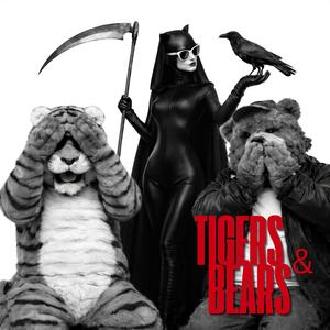 Collector of Final Debts