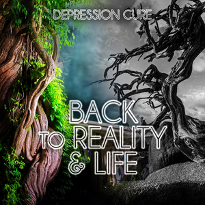 Divertissement sur des motifs originaux français, Op. 84, No. 1, D. 823: II. Andantino varié (Harp Version)