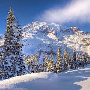 深蓝宿醉的浪漫