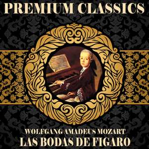 Las Bodas de Fígaro: Sinfonía