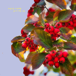 아름다운 시간여행