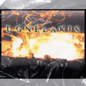 Gamtos Totemo Atspindys