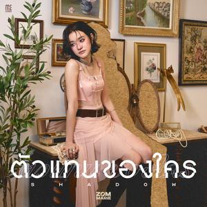 ตัวแทนของใคร (Shadow)