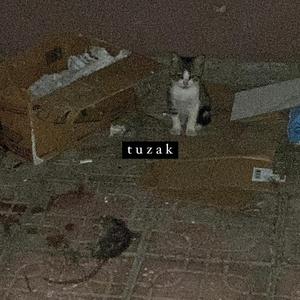tuzak (feat. shinwa)