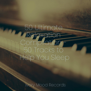 Reflections on a Riverside Evening