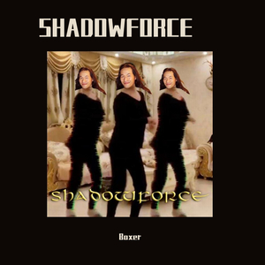 SHADOWFORCE (爱河 POWER METAL VERSION)（翻自 蒋雪儿）