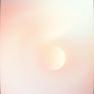 Velvet Hallucinations