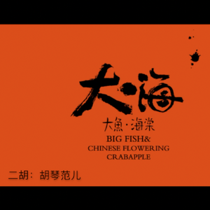 大鱼【二胡.Ver】（翻自 周深）