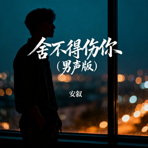 舍不得伤你（男声版）