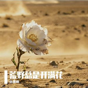 荒野总是开满花-小祺啊