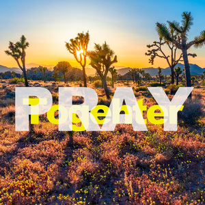 生命里的光（demo）