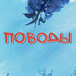 Поводы