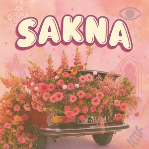 SAKNA
