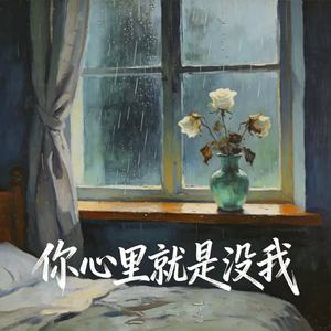 你心里就是没我 (合情・合理・合法・和你)