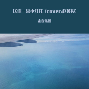 送你一朵小红花