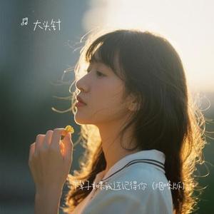 下辈子如果我还记得你