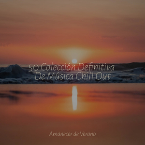 Armonías Graciosas en Vuelo