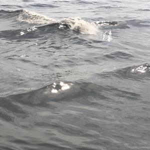 如果你冷+梦（翻自 deca joins）