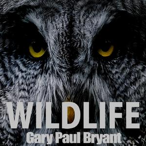 WildLife (Remastered)