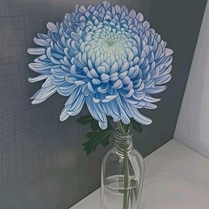 麦秆菊（for R）