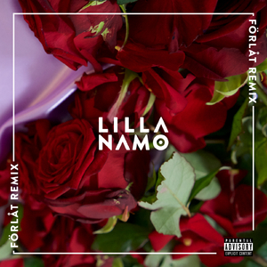 Förlåt (Safari Sound & Adde Remix)