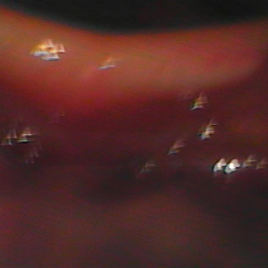 DEUS (Iguana's Lair Mix)