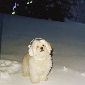 过期的爱