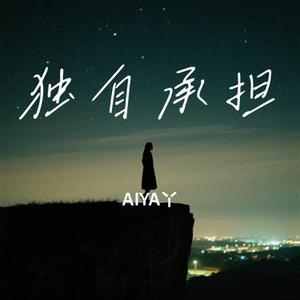 独自承担