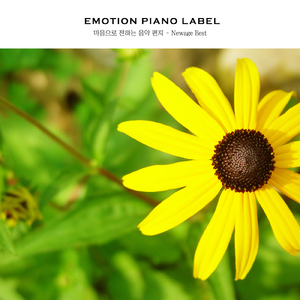 책장을 넘기듯 돌아보는 어제 Yesterday I Turned Around Like A Bookcase