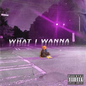 What I Wanna (feat. Jayden Lance)