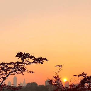 我还是（翻自 闭文思）