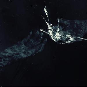 HEART CONTUSION (feat. Henryisdead)