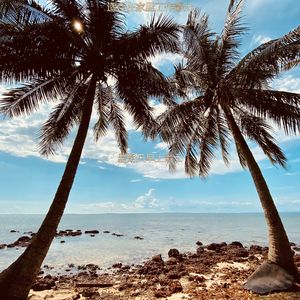 适合办公室工作安静的音乐