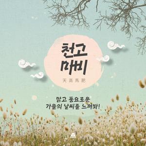 풍요로운 식량