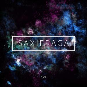 Saxifraga