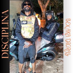 Disciplina
