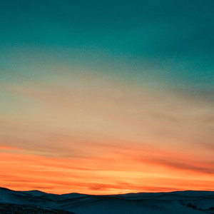 Americans（Cover This or the Apocalypse）