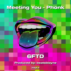 Meeting You - Phonk