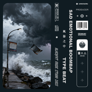 [Free] "风暴之中" | Sad Emotional Boombap Beat