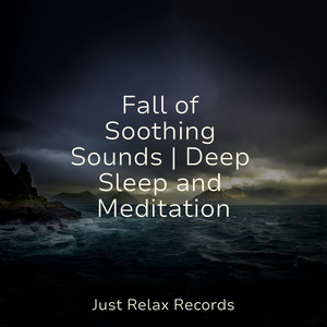 Tranquility's Echoes