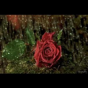 Abdulla--Awut - 颂玫瑰