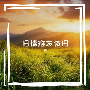 此生自当闪耀