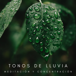 Sonido de Lluvia de Verano