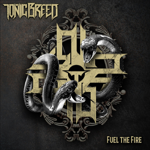 Fuel the Fire (feat. Dirk Verbeuren & Bernt Jansen)