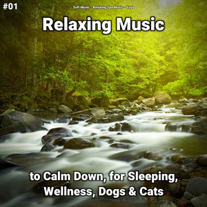 Relaxing Music Part 55